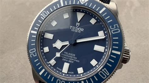 tudor mn21 vs mn22|tudor fxd review.